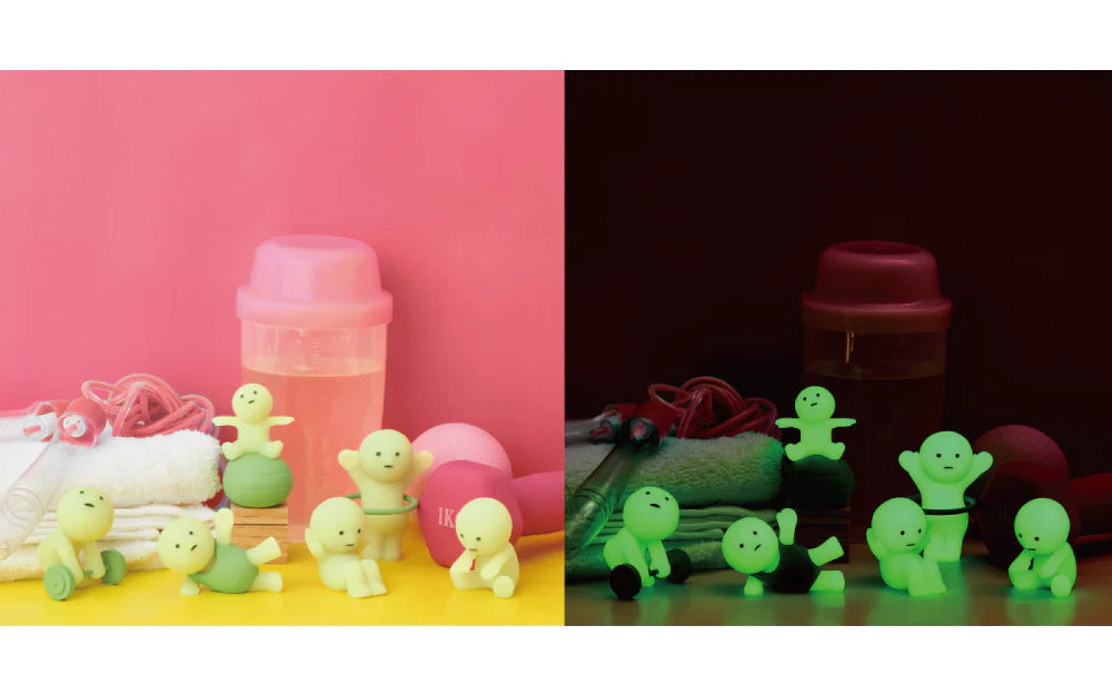 SMISKI Exercising Series (One Box - Random Blind Box)
